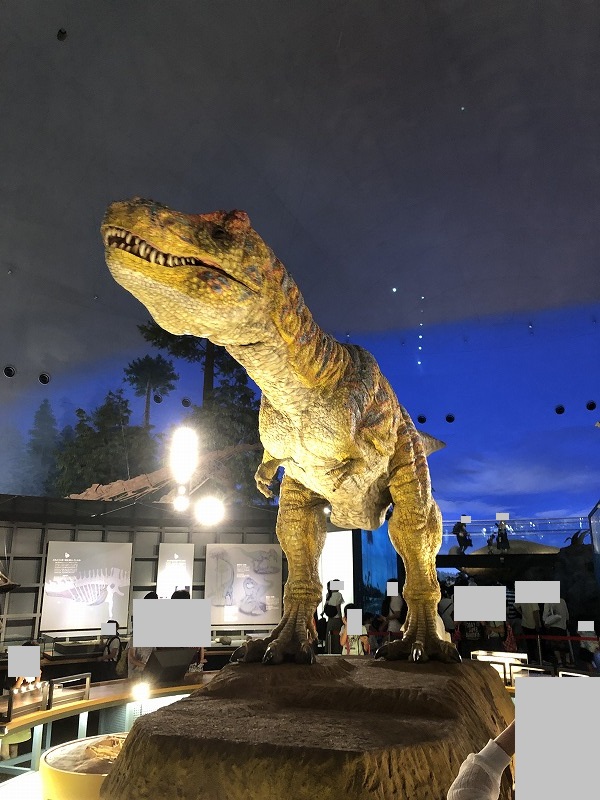 福井 子連れ旅行記 恐竜博物館その１ あーちブログ